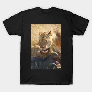 Lions at a Wilderbeest Kill, Maasai Mara, Kenya T-Shirt